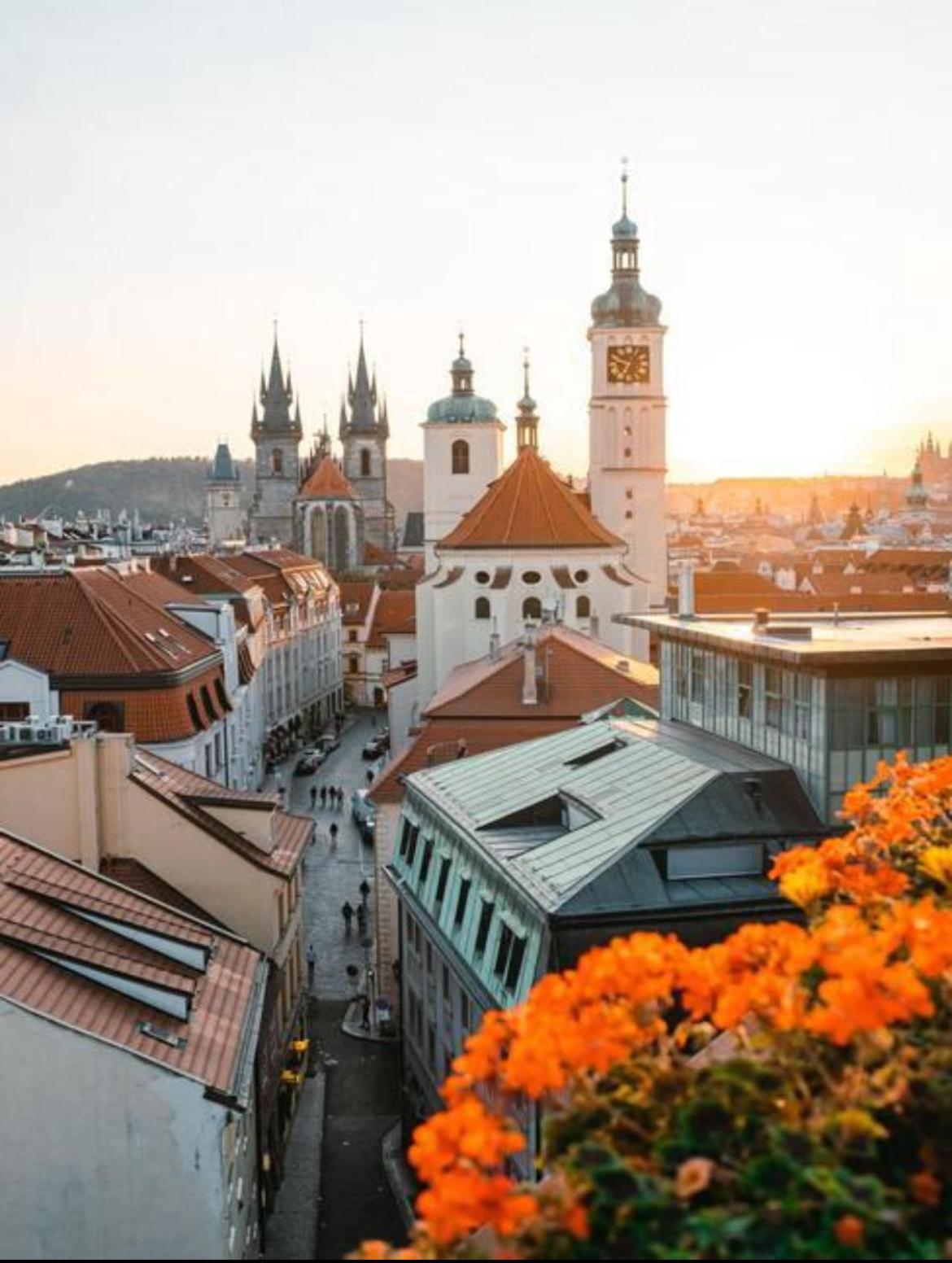 Apartment Bilkova Prag